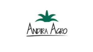 WhatsApp Image 2025-04-29 at 13.19.20 (2)